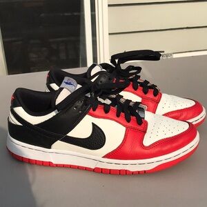 Size 9.5 Nike dunk NBA 75th anniversary